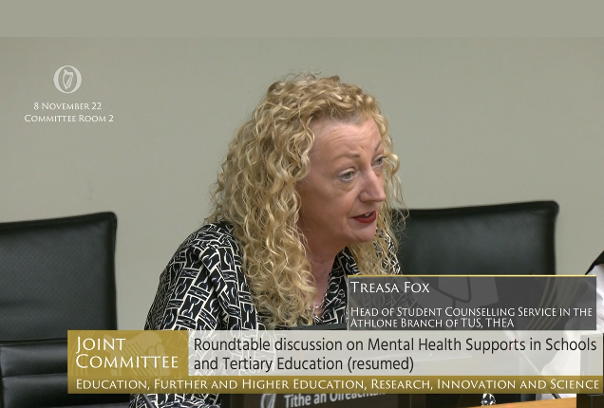 Joint Oireachtas Committee: Further and Higher Education, Research, Innovation, and Science
