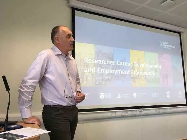 THEA hosts National Researcher Careers Framework Mutual Learning Experience